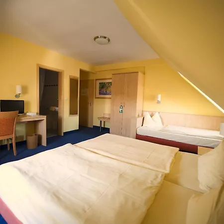 Hotel Park Ruedesheim