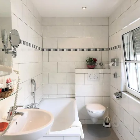 Park Ruedesheim شفيتزينجين