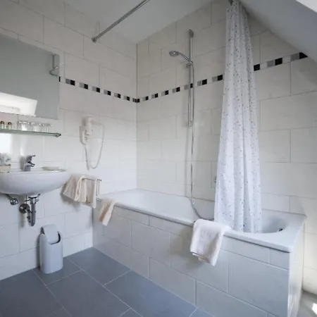 Park Ruedesheim Ξενοδοχείο 4*