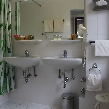 Park Ruedesheim فندق