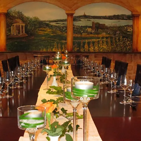 فندق Park Ruedesheim شفيتزينجين