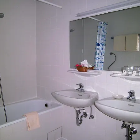 فندق Park Ruedesheim 4*