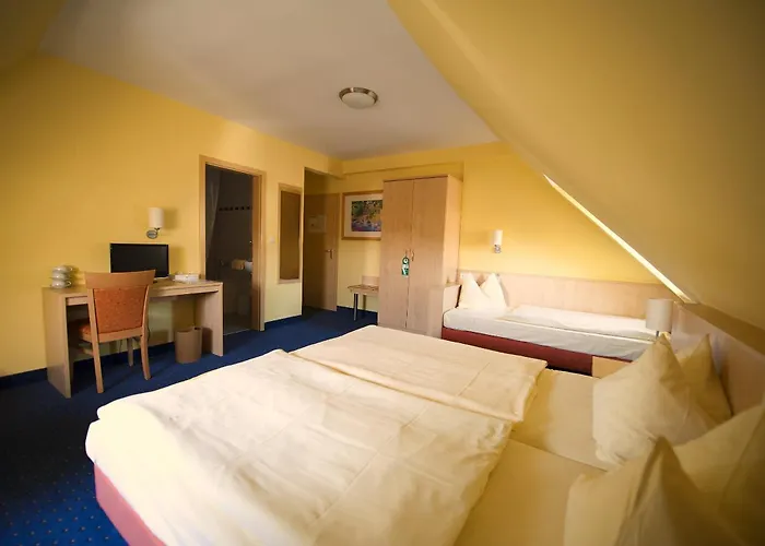 酒店 Park Ruedesheim