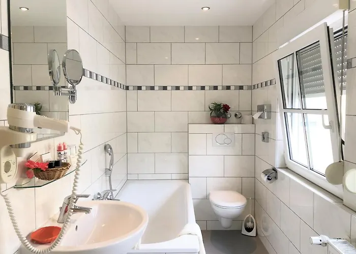 Park Ruedesheim Rüdesheim am Rhein