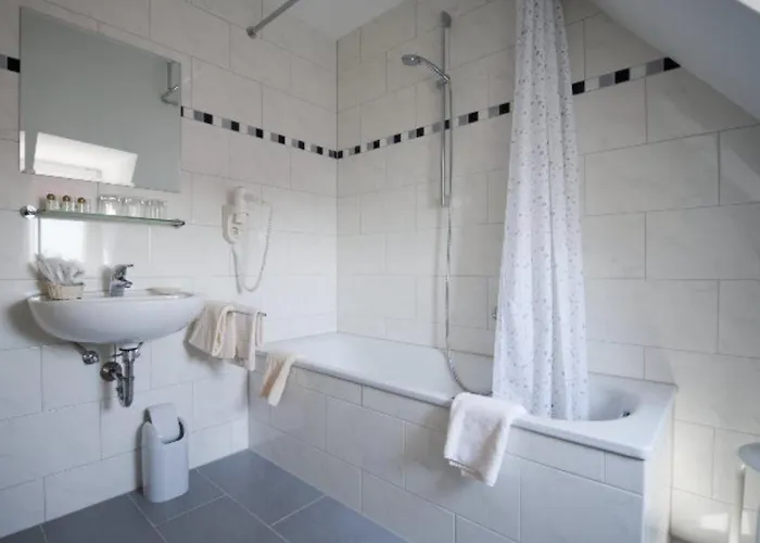 Park Ruedesheim Hotel 4*