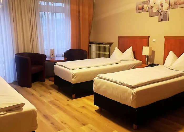 Hotel Park Ruedesheim Rüdesheim am Rhein