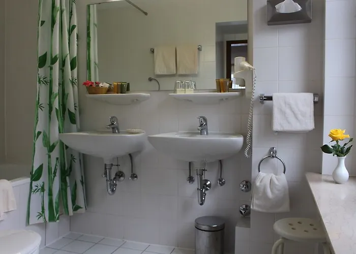 Park Ruedesheim Hotel