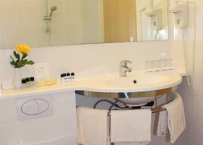 Park Ruedesheim Hotel