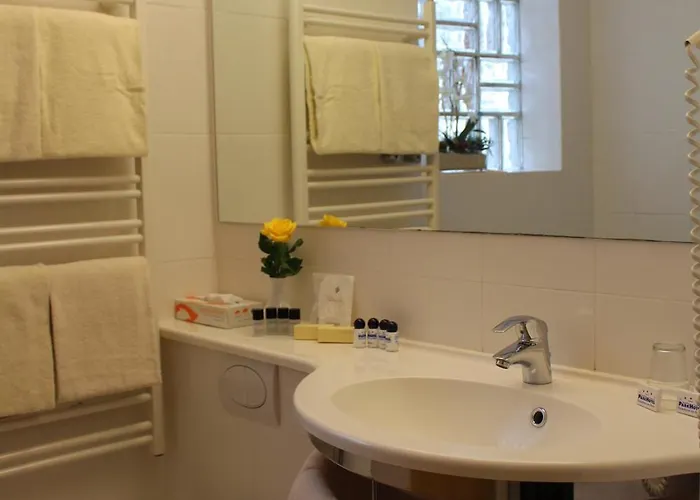 Hotel Park Ruedesheim 4*