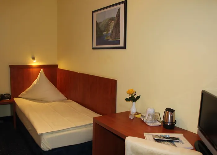 Park Ruedesheim 吕德斯海姆